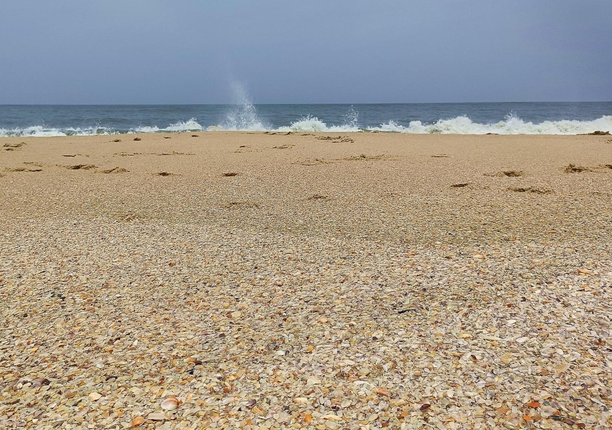 Marari Beach Cleetus Homestay ماراريكولام المظهر الخارجي الصورة