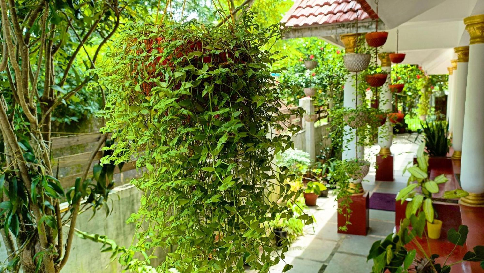 Marari Beach Cleetus Homestay ماراريكولام المظهر الخارجي الصورة